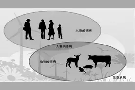 人兽共患病知识普及图片