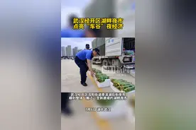 武汉经开区湖畔夜市点亮“车谷”夜经济图片