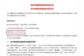 为追讨5亿元资产置出补偿款和违约金 万里股份控股股东把前任告了图片