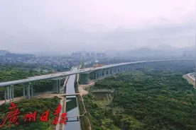 广东高速公路通车里程突破1.12万公里，连续九年位居全国第一图片