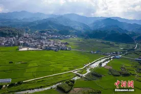 7月8日新闻早餐图片