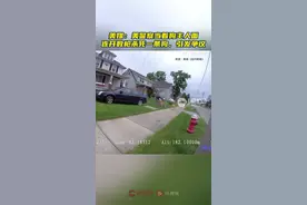 美媒：美警察当着狗主人面连开数枪杀死一条狗，引发争议图片