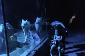 夏天来了，夜游动物园你试过吗？杭州这里的“夜猫子课堂”等你打卡图片