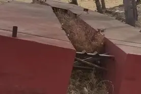 吉林建浮桥获罪当事人曾举报主审法官高考冒名顶替：我不是针对他，只是想翻案图片