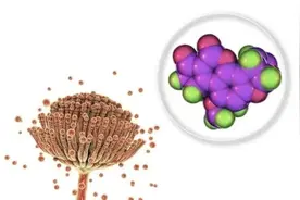 轻则中毒，重则致命！这个“超级致癌物”就在身边图片