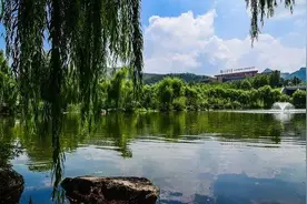 【每日社科】杜甫陆游杨万里遇到酷暑会说什么？图片