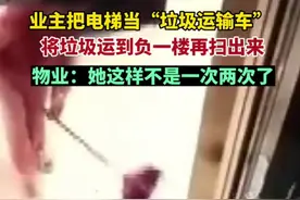 一女子把自已楼层的垃圾全部扫到电梯里，物业：不是一次两次了，提醒了不理不踩图片