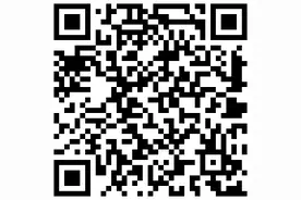 辰溪县：燕尾龙舟奏响民族团结乐章图片