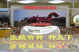 【“洽”在兰州·看甘肃之“新”】系列报道④跑出“新速度”——临泽玉米制种产业发展观察图片