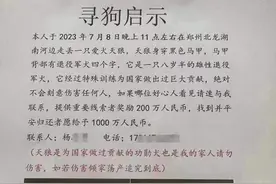“悬赏千万寻狗”后续：狗已经找到，实际只给了5000元！律师：狗主人或涉传播虚假信息罪图片