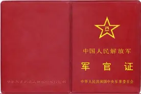 本月起，持这些有效证件可以免费乘坐公交车啦！图片