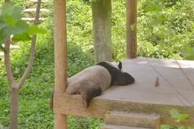 人们需要七种休息图片