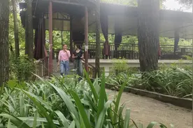 习水县寨坝镇：凤凰山上栖“凤凰” 避暑旅游带民富图片