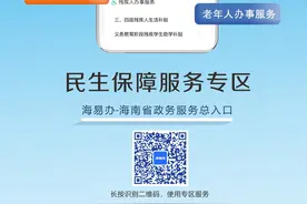 智慧海南｜“海易办”上线民生保障服务专区 各类热门事项一站式办理图片