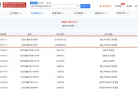 ST庞大被强制执行4610万！图片
