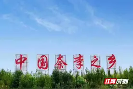 沙洲日记 | “沙洲奈李”熟了图片