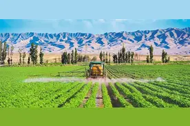 【高质量发展产业调研】棉花产业调查图片