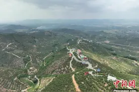 “中国芒果之乡”广西田东：大“芒”人创出“甜蜜”事业图片