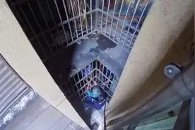 阿尔茨海默症老人悬身6楼防护窗外，23岁警员化身“蜘蛛侠”绳降救援，曾是武警特战队员图片