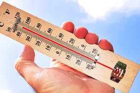 夏季炎热属火，肿瘤体虚者要抓住三伏天及时调养！图片