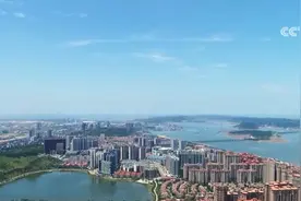 忠诚“海疆卫士”扎根海岸线 有效增加沿海城市“生态绿”图片