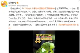 逗鸟也得当心！九旬老人小区散步逗鹦鹉得了鹦鹉热图片