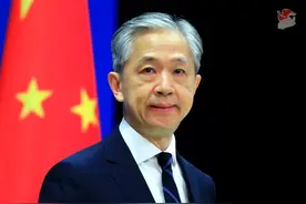 阿尔及利亚总统特本将访华 中方介绍此访安排及期待图片