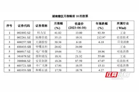 6月单只湘股月度最高涨幅近42% 湖南辖区新增两家上市企业图片