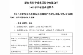 世纪华通上半年盈利预增至少6成以上，海外自研游戏流水上升图片