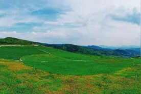 百年矿山成花海图片
