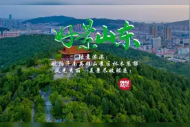 果然视频·好景山东|航拍济南英雄山满目碧绿，一派生机盎然景象图片