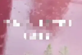 成都金堂一河段水流变为红褐色？官方：已在辖区内溯源调查，现水体恢复正常颜色图片