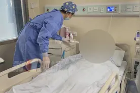 小虫子大麻烦！这种病近期高发，如何做到别来无“恙”？图片