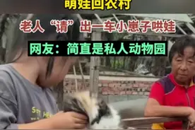 萌娃回农村，老人“请”出一车小崽子哄娃，网友：简直是私人动物园图片