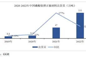定增20亿押注锂电池正极材料，丰元股份存在哪些风险？图片