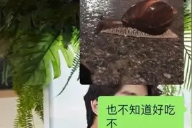 千万别碰！大雨后遍地爬的大蜗牛，寄生虫多到数不清图片