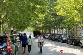 看，纯天然的“绿色遮阳伞”！图片