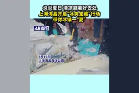 炎炎夏日 清凉避暑好去处 上海海昌开启“冰爽宝藏”行动带你冰镇一“夏”图片