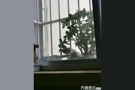 风水宝地的标准：四象图片