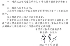 停赛6场+罚款6万，韦世豪因辱骂裁判马宁遭重罚图片