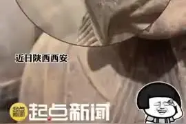 兵马俑脸上竟有只蚊子 网友：瞒不住了 都是西安人装的图片