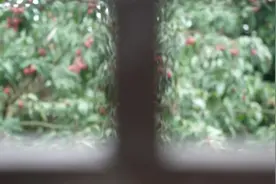 外籍留学生漳浦感知美“荔”乡村图片