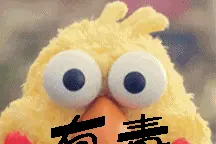 向不文明行为说不 丨 绿化带里采摘“黄花菜”？小编提醒：千万别吃！图片