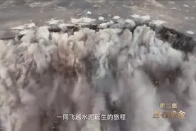 世界上使用最广泛的复合材料！全球六成玻璃纤维，中国造！图片