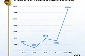 退票难？放任抢票软件？门票公售量不透明……风口浪尖大麦网图片