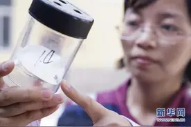 多地进入今夏蚊子高峰期，没感觉？专家解疑图片