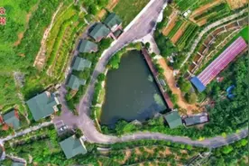 视频｜满眼村中事，一心只为民图片