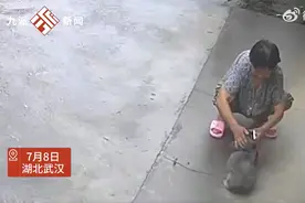 女生打电话给奶奶，奶奶弯下腰让小狗接，当事人：看到这一幕觉得很温暖，小狗也是我们的家人图片