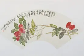 杨贵妃的荔枝何处来？图片