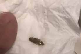 女子称在沪上阿姨奶茶中喝出蟑螂？商家回应图片